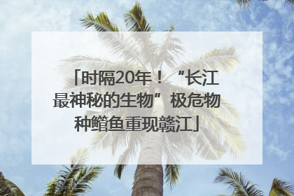 时隔20年！“长江最神秘的生物”极危物种鳤鱼重现赣江