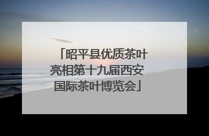 昭平县优质茶叶亮相第十九届西安国际茶叶博览会