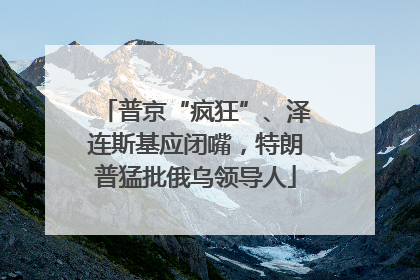 普京“疯狂”、泽连斯基应闭嘴，特朗普猛批俄乌领导人