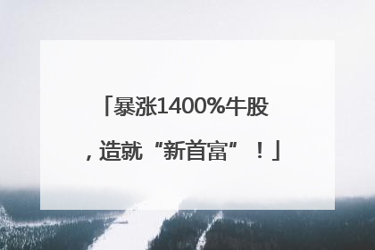 暴涨1400%牛股，造就“新首富”！