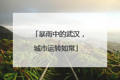 暴雨中的武汉，城市运转如常