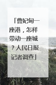 曹妃甸一座港，怎样带动一座城？人民日报记者调查