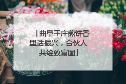 曲阜王庄煎饼香里话振兴，合伙人共绘致富图