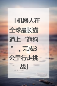 机器人在全球最长猫道上“遛狗”，完成3公里行走挑战