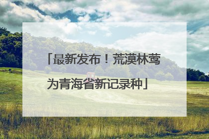 最新发布！荒漠林莺为青海省新记录种