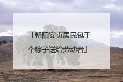 朝阳安贞居民包千个粽子送给劳动者