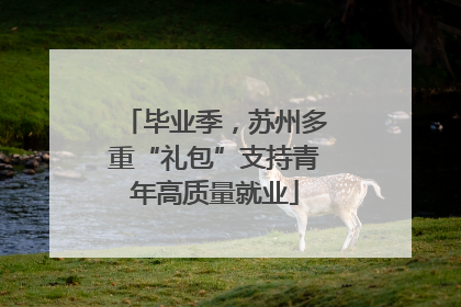 毕业季，苏州多重“礼包”支持青年高质量就业