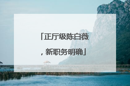 正厅级陈白薇，新职务明确