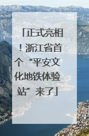 正式亮相！浙江省首个“平安文化地铁体验站”来了