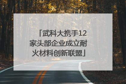 武科大携手12家头部企业成立耐火材料创新联盟
