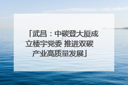 武昌：中碳登大厦成立楼宇党委 推进双碳产业高质量发展