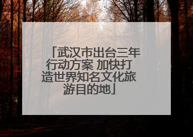 武汉市出台三年行动方案 加快打造世界知名文化旅游目的地