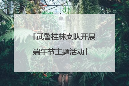 武警桂林支队开展端午节主题活动