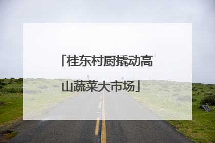桂东村厨撬动高山蔬菜大市场