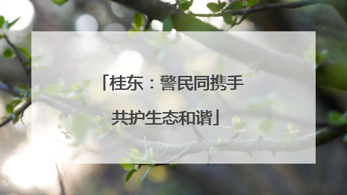 桂东：警民同携手 共护生态和谐