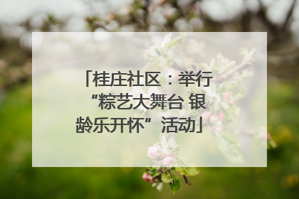 桂庄社区：举行“粽艺大舞台 银龄乐开怀”活动