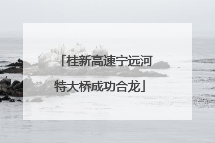 桂新高速宁远河特大桥成功合龙