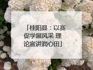 桂阳县：以赛促学展风采 理论宣讲润心田