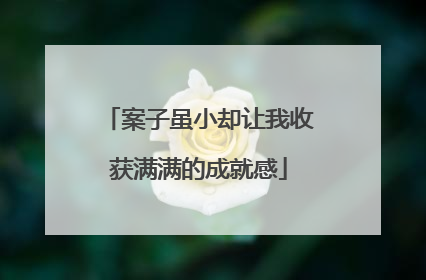 案子虽小却让我收获满满的成就感