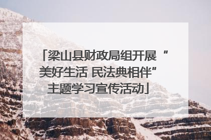 梁山县财政局组开展“美好生活 民法典相伴”主题学习宣传活动