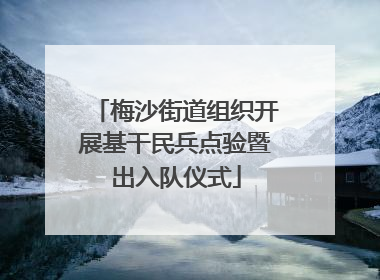 梅沙街道组织开展基干民兵点验暨出入队仪式