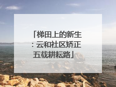 梯田上的新生：云和社区矫正五载耕耘路