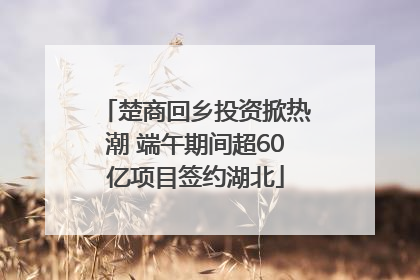 楚商回乡投资掀热潮 端午期间超60亿项目签约湖北