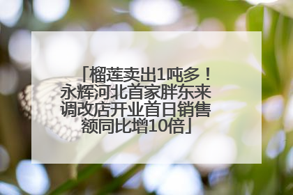 榴莲卖出1吨多！永辉河北首家胖东来调改店开业首日销售额同比增10倍