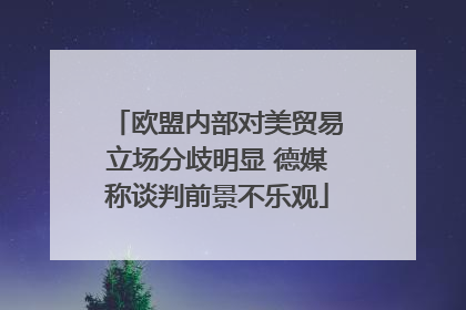 欧盟内部对美贸易立场分歧明显 德媒称谈判前景不乐观