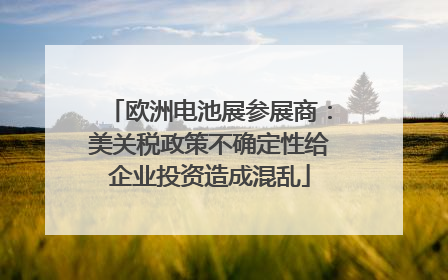 欧洲电池展参展商：美关税政策不确定性给企业投资造成混乱