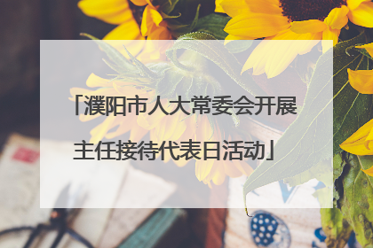 濮阳市人大常委会开展主任接待代表日活动