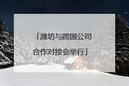 潍坊与跨国公司合作对接会举行