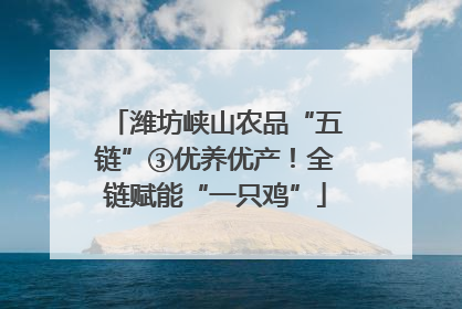 潍坊峡山农品“五链”③优养优产！全链赋能“一只鸡”