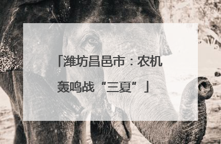 潍坊昌邑市：农机轰鸣战“三夏”