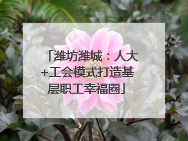 潍坊潍城：人大+工会模式打造基层职工幸福圈