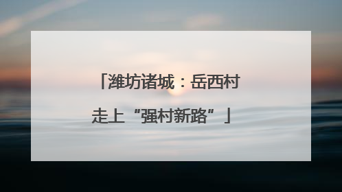 潍坊诸城：岳西村走上“强村新路”