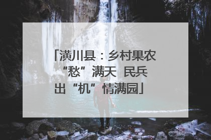 潢川县：乡村果农“愁”满天  民兵出“机”情满园