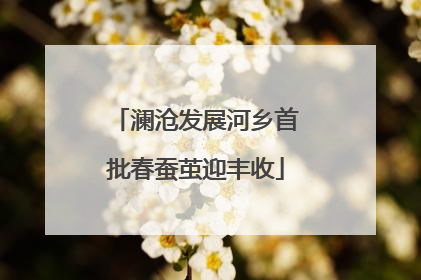 澜沧发展河乡首批春蚕茧迎丰收