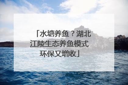 水塘养鱼？湖北江陵生态养鱼模式环保又增收