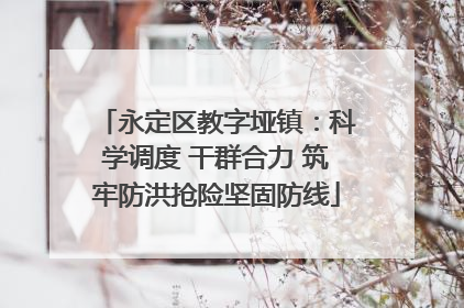 永定区教字垭镇：科学调度 干群合力 筑牢防洪抢险坚固防线