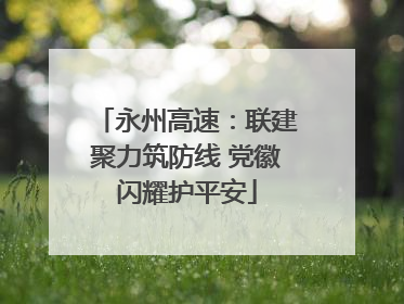 永州高速：联建聚力筑防线 党徽闪耀护平安