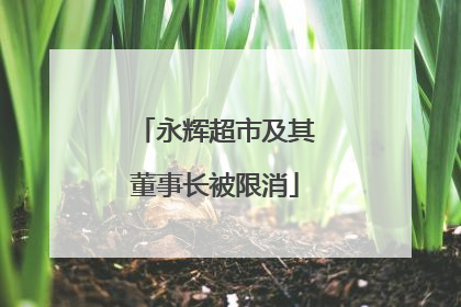 永辉超市及其董事长被限消