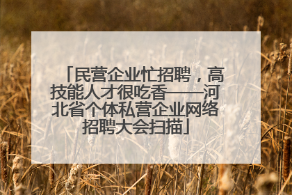 民营企业忙招聘，高技能人才很吃香——河北省个体私营企业网络招聘大会扫描