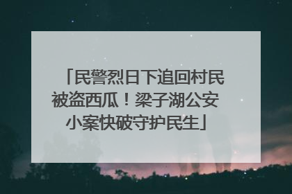 民警烈日下追回村民被盗西瓜！梁子湖公安小案快破守护民生