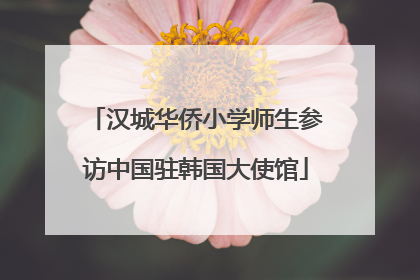 汉城华侨小学师生参访中国驻韩国大使馆