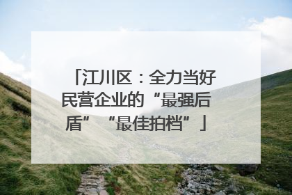 江川区：全力当好民营企业的“最强后盾”“最佳拍档”