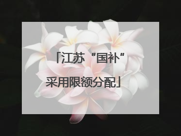 江苏“国补”采用限额分配