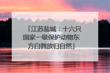 江苏盐城：十六只国家一级保护动物东方白鹳放归自然