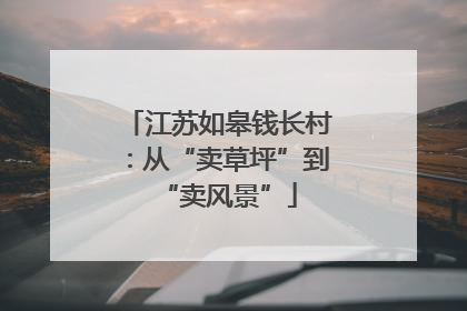 江苏如皋钱长村：从“卖草坪”到“卖风景”