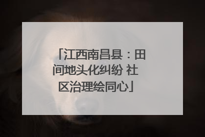 江西南昌县：田间地头化纠纷 社区治理绘同心